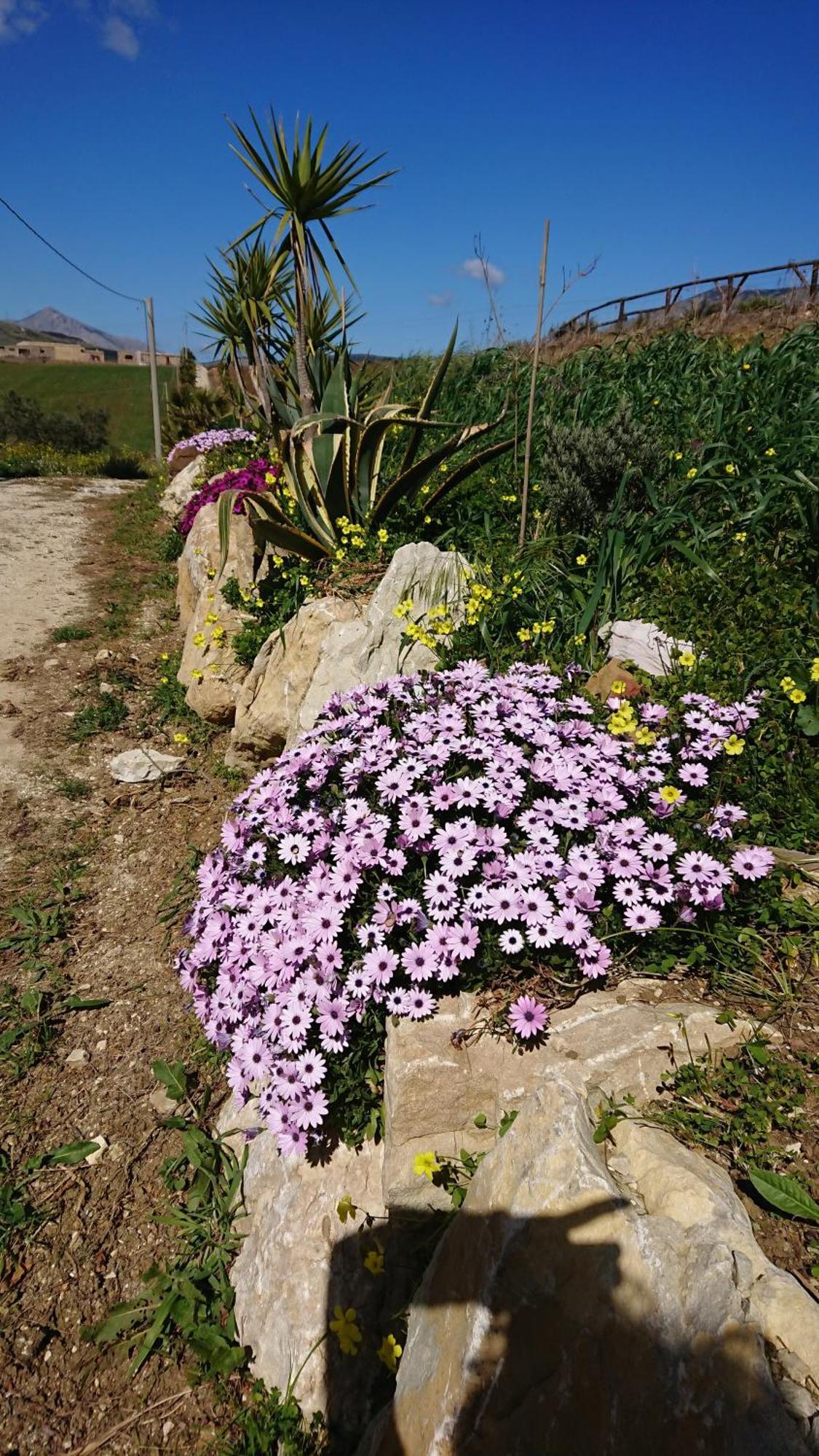 Helimos Bed&Breakfast Segesta Temple-Castellammare กาลาตาฟีมี ภายนอก รูปภาพ