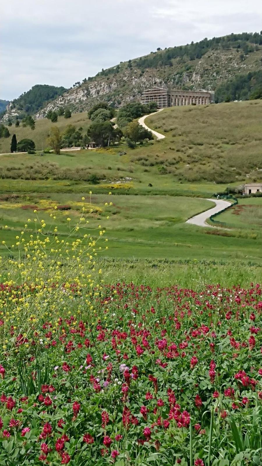 Helimos Bed&Breakfast Segesta Temple-Castellammare กาลาตาฟีมี ภายนอก รูปภาพ